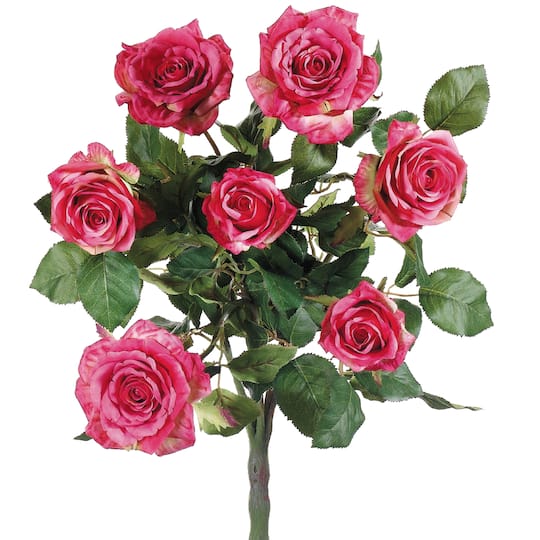 Pink Confetti Rose Bush